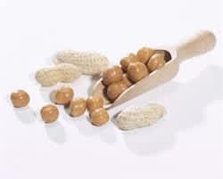 Soy Snacks
